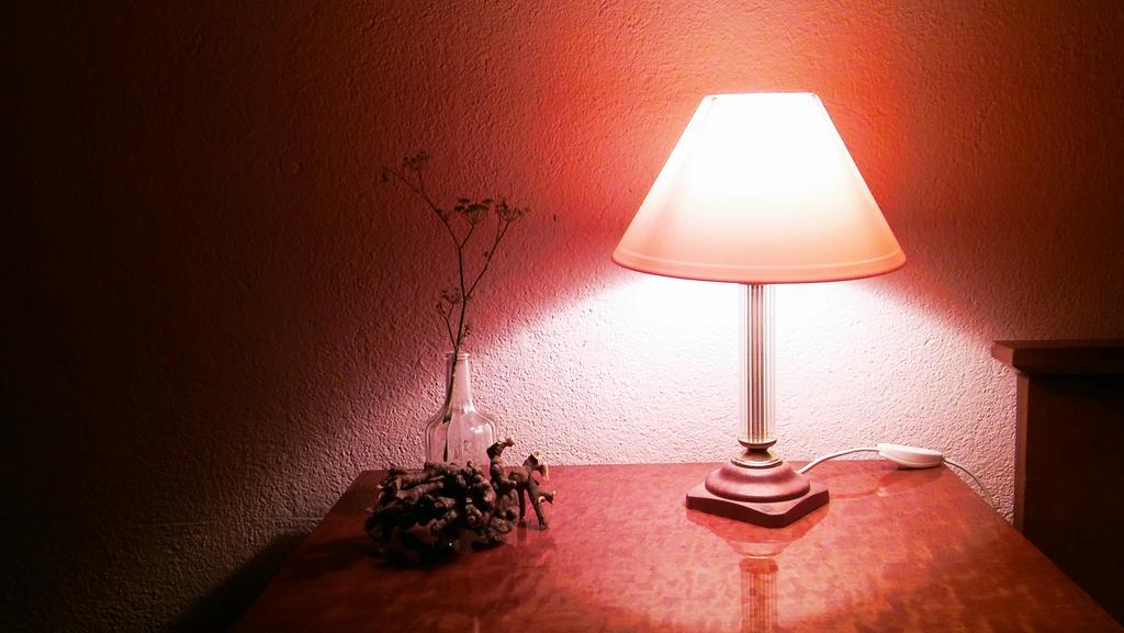 Apartmani Conar ドルヴェニク・ヴェリキ エクステリア 写真